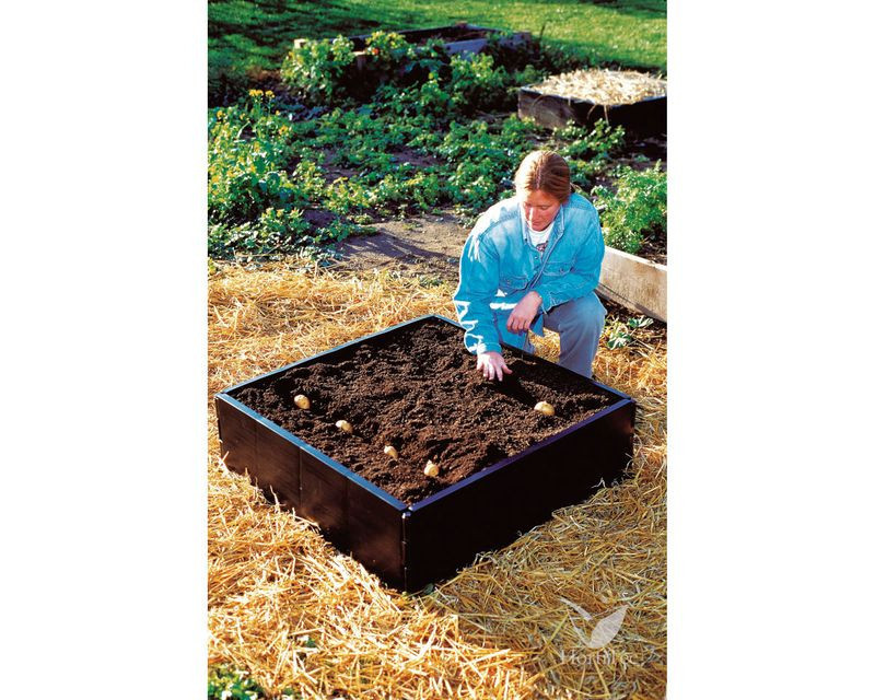GROW BED (98X98X25 CM)