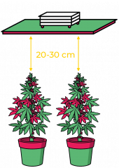 THE JACKSON 250/150/W