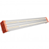 IGNATOR HEROLED B240W