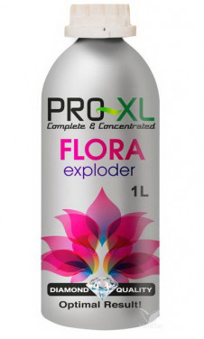 FLORA EXPLODER
