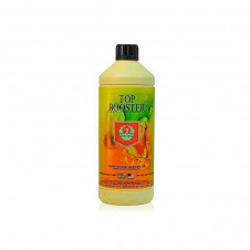 TOP BOOSTER - 1