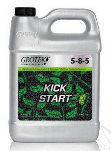 GROTEK KICK START - 1