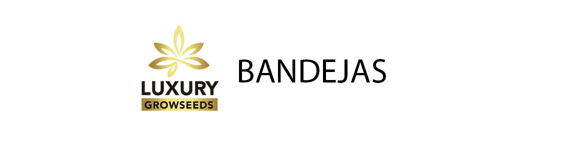 BANDEJAS
