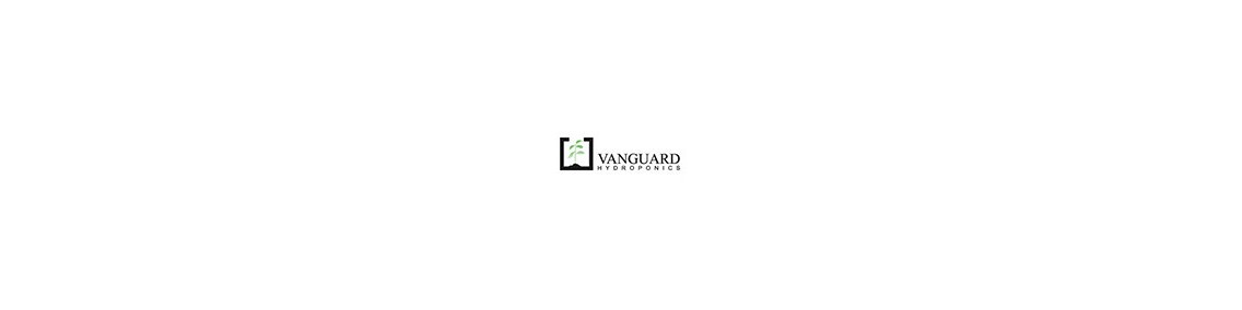 VANGUARD
