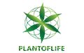 PLANT OF LIFE