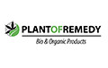 PLANT OF REMEDY